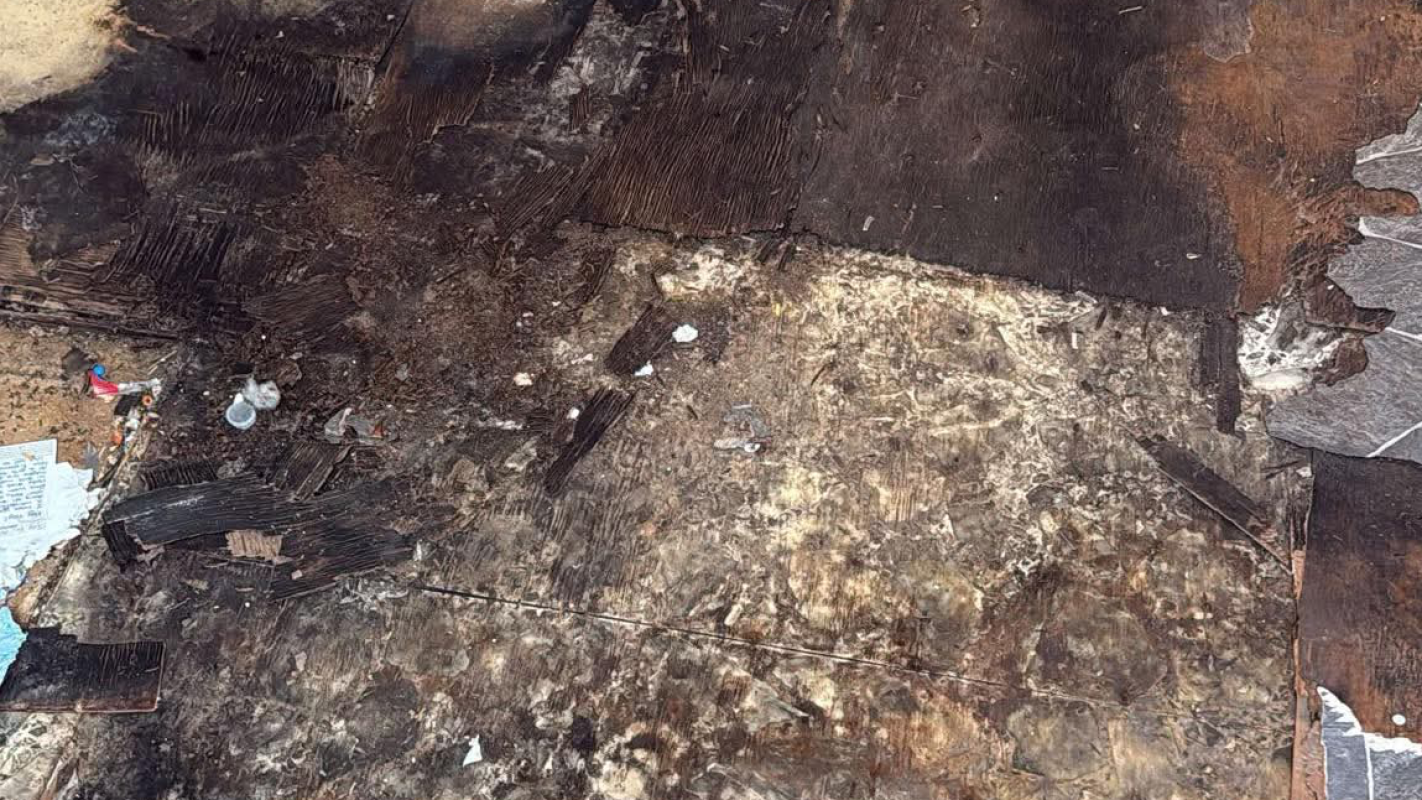 Removal of black mold