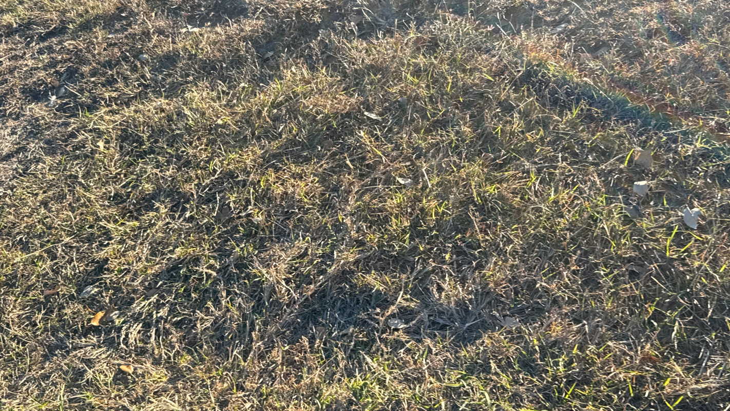 Paying for hospital bill