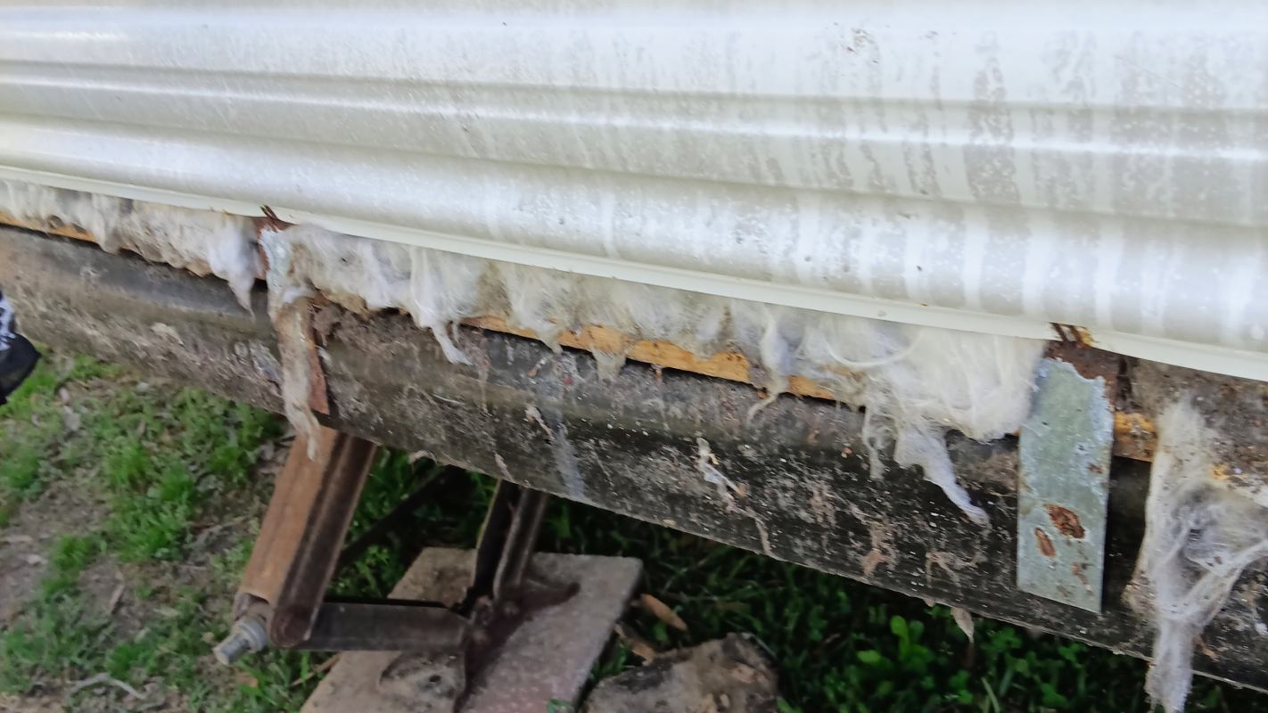 Get me out of a camper with black mold