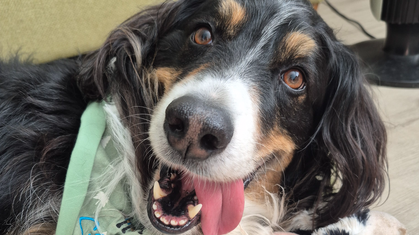 Give Cooper More Time (Cancer Care Fund)