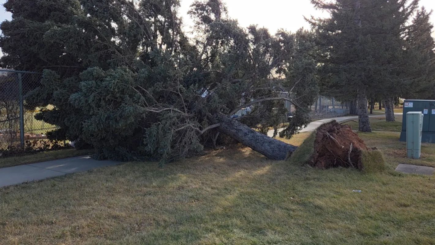 Home Repairs for Officer Midgett