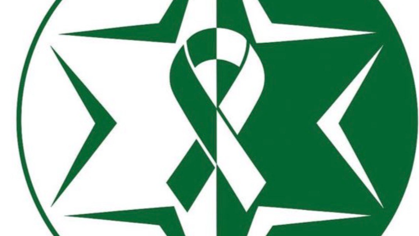 They Fought for Us - Now We Fight for Them: Helping Our Fighters Heal