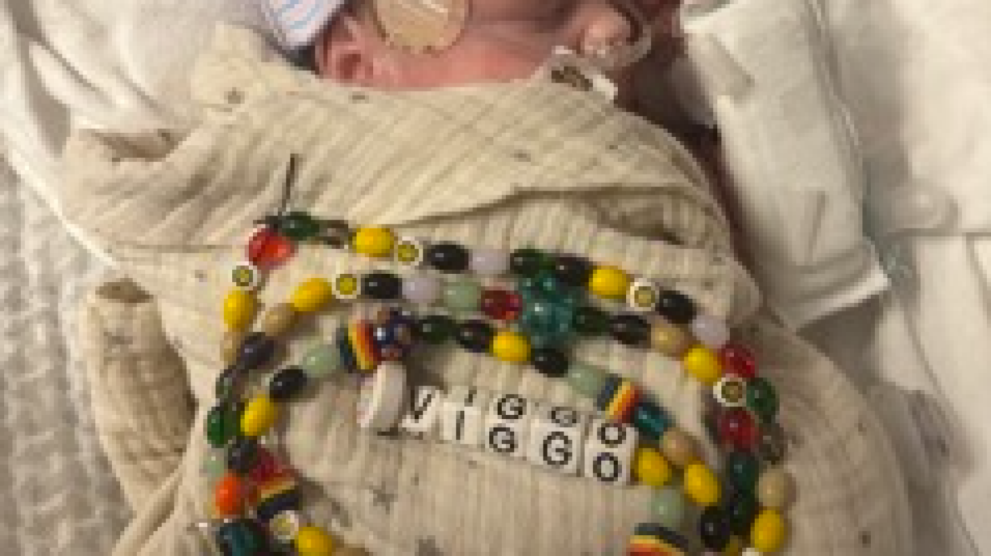 Viggo's Kidney Journey