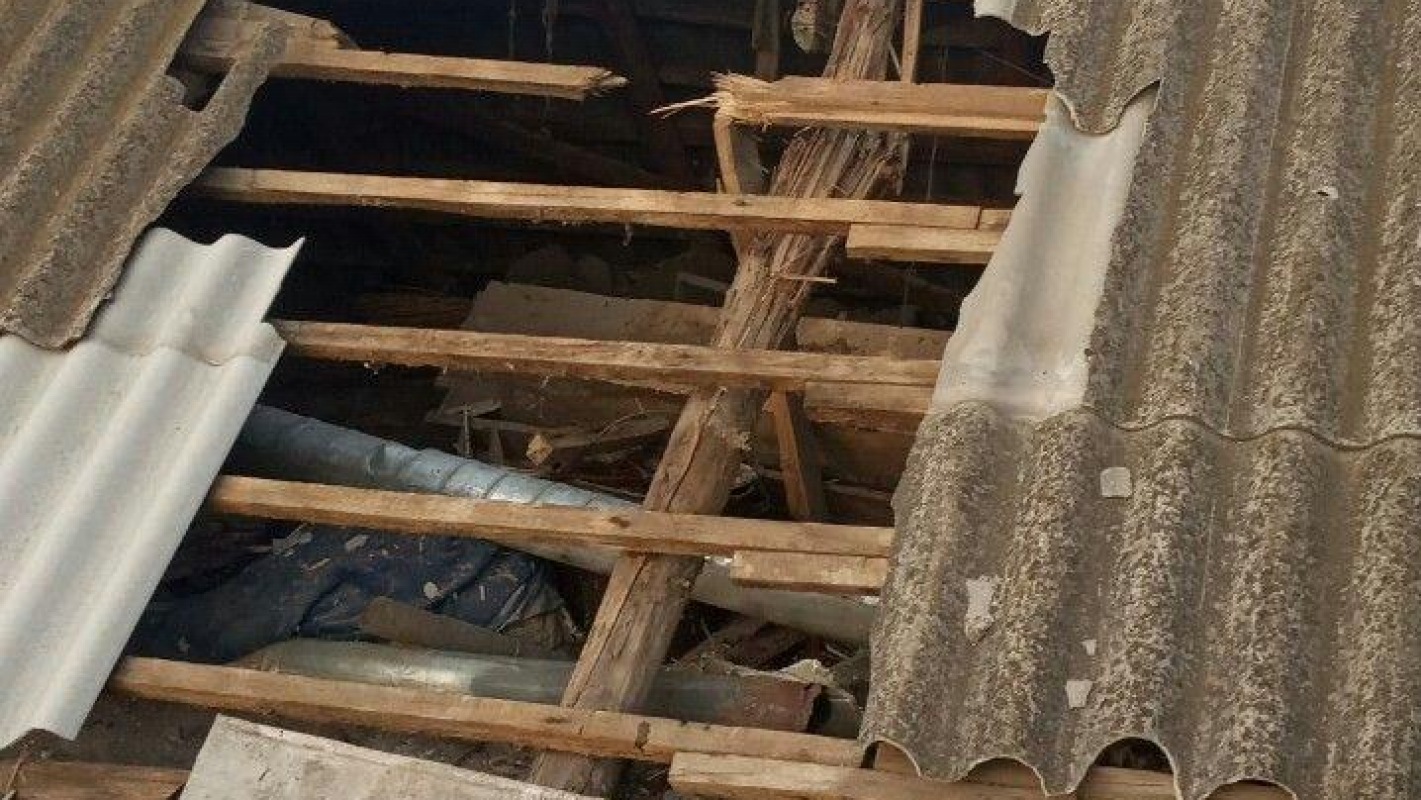 Help Mercedez Rebuild Her Small Homestead