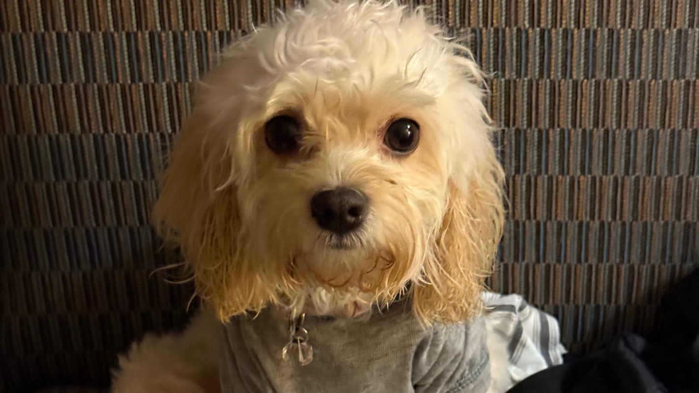 Help from homeless to housed