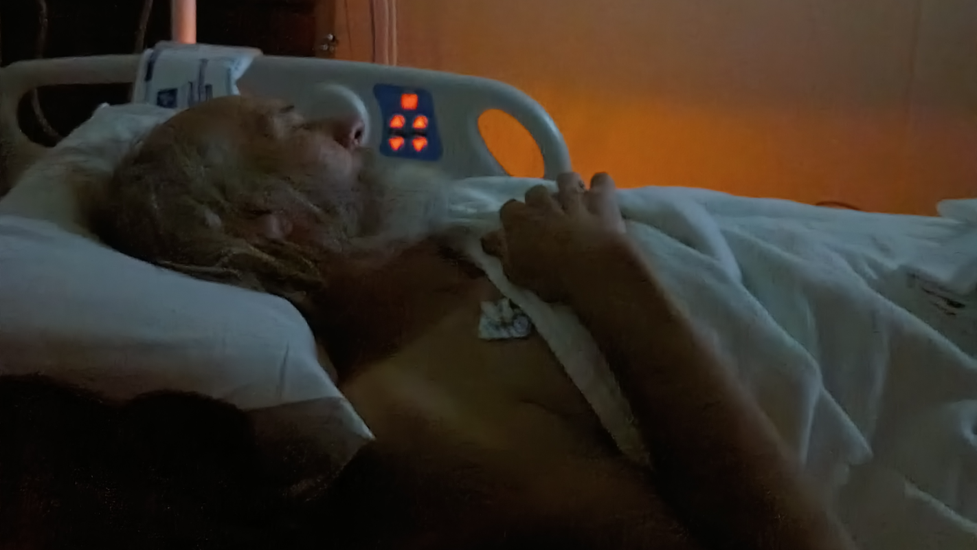 Urgent Support Needed: Help Dennis Fight for His Life