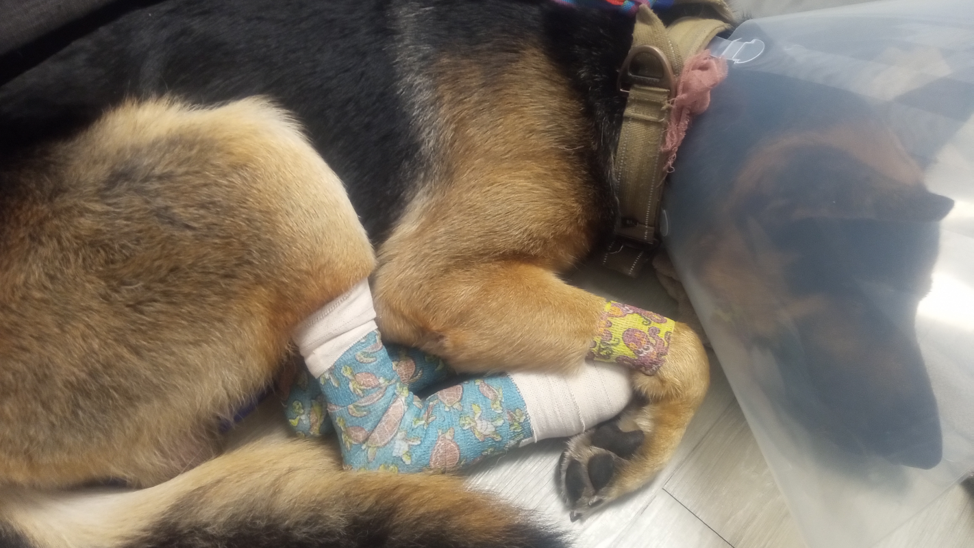 Help Mickey recover from a hit and run