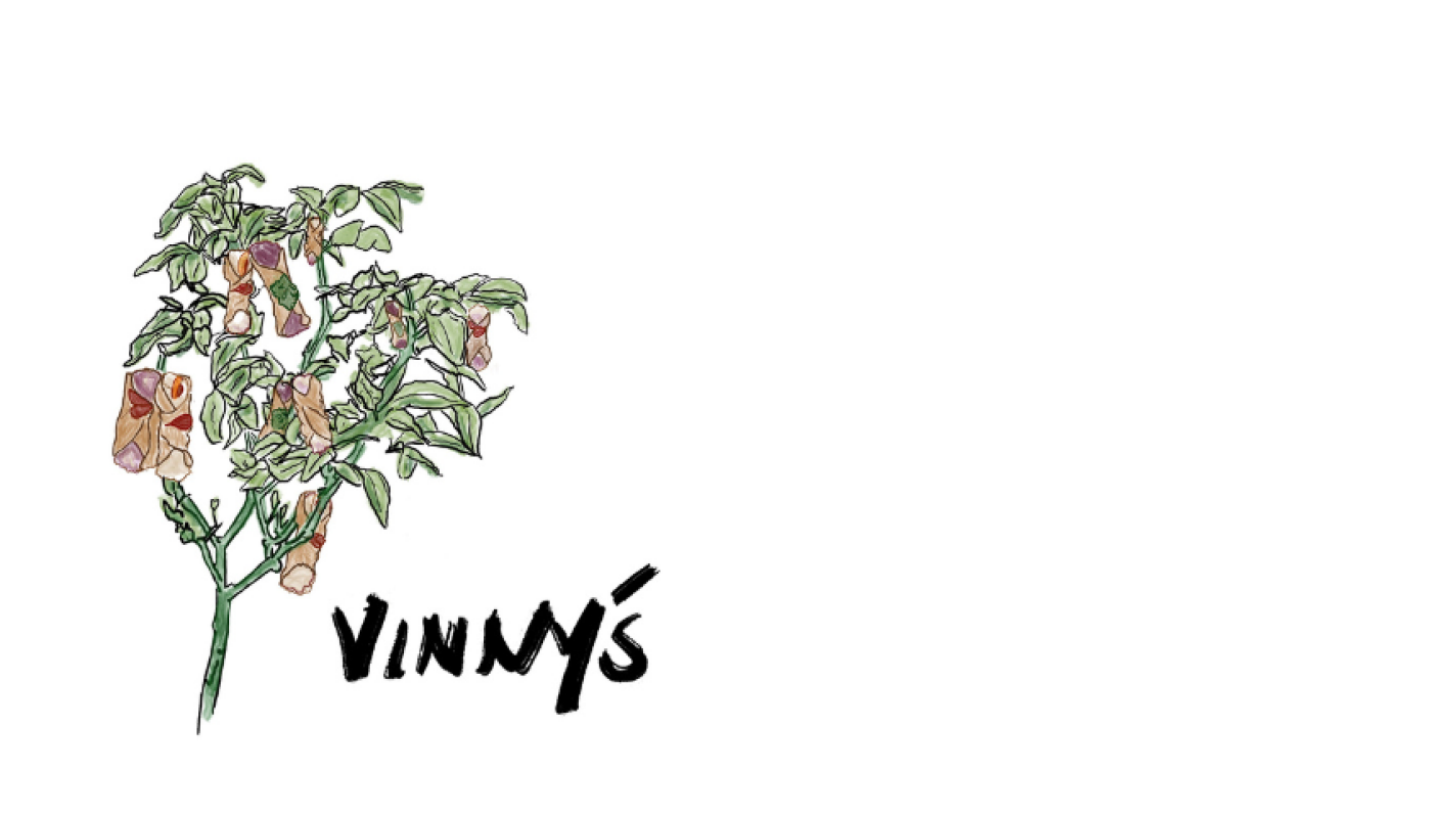 Help Fund The Next Chapter of Vinny’s
