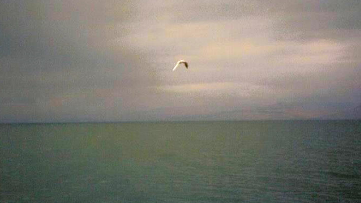 A flight back to a do-able life