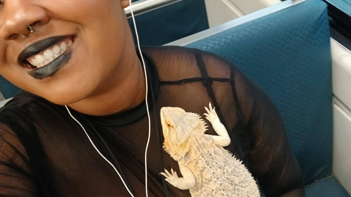 Operation: Moving expenses