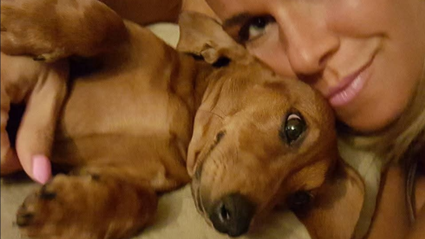 Bailey needs surgery or he will die