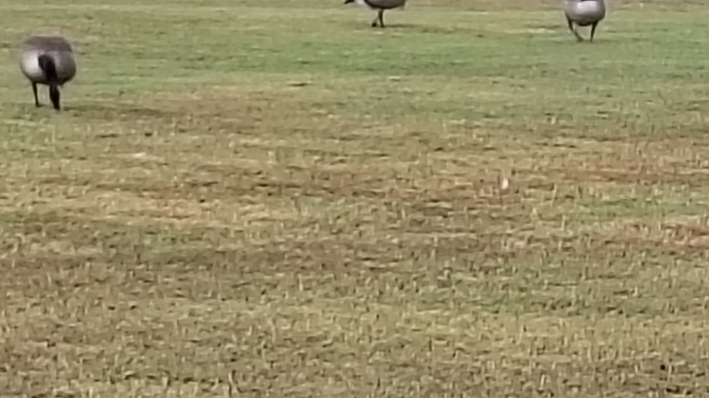 Danny Gants going home