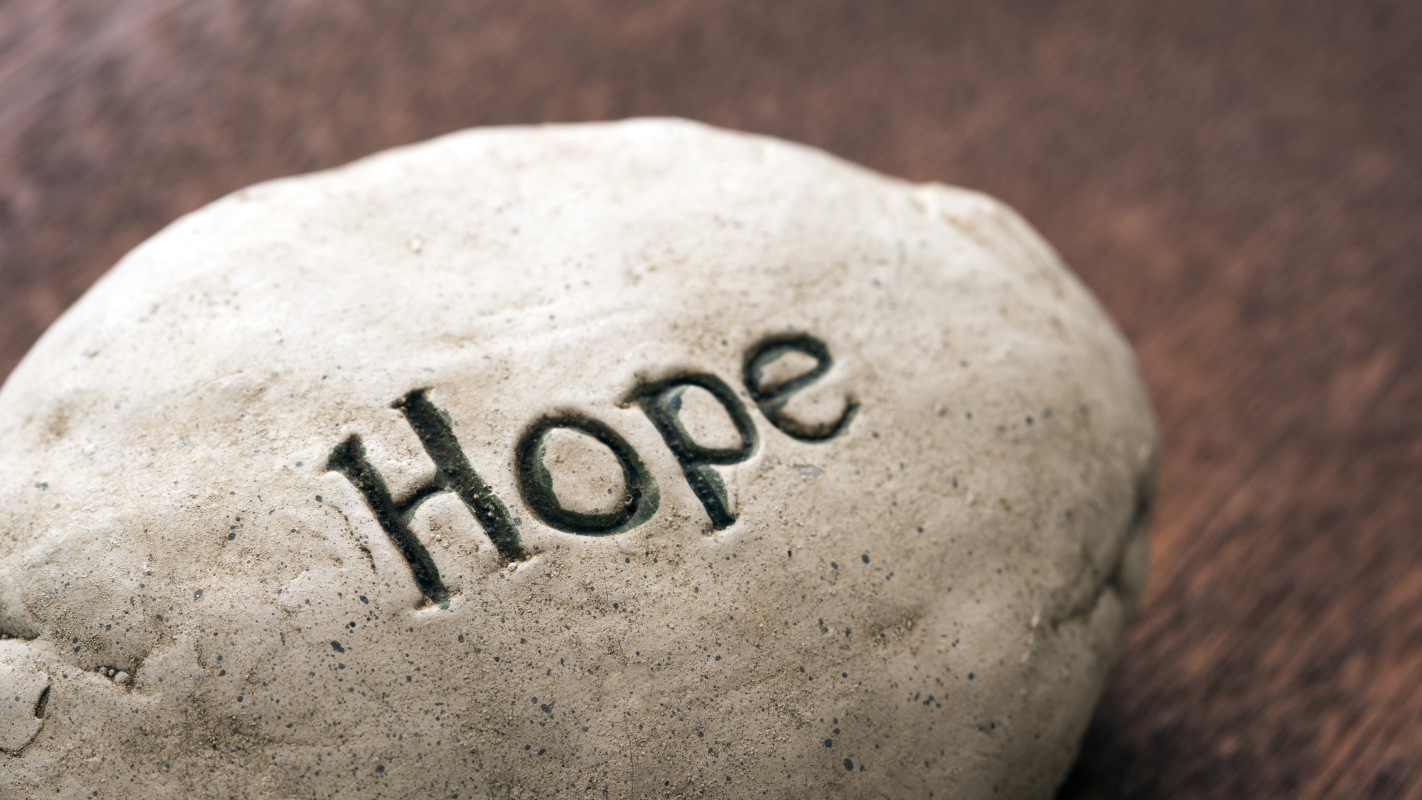 Help me return to the U.S.