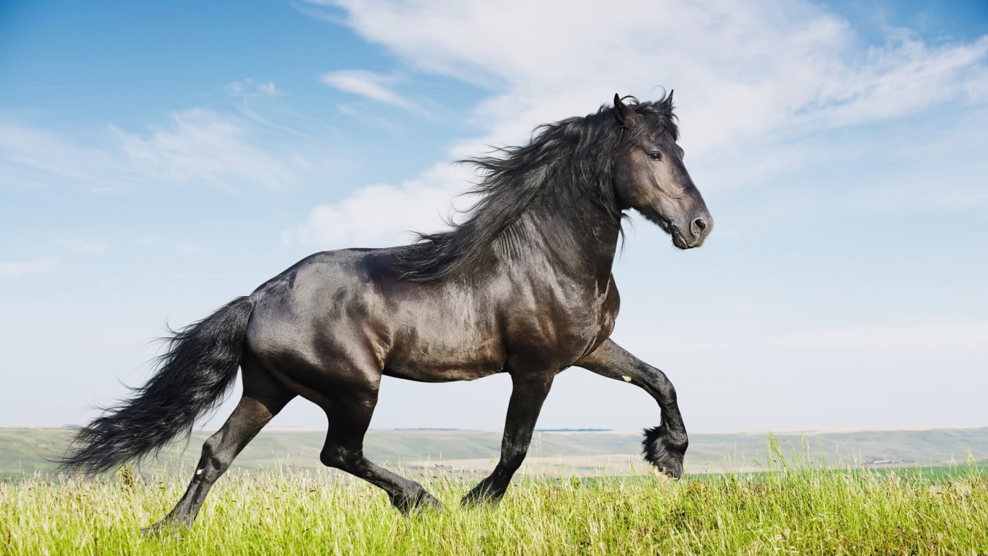 MY GRANDPAS CREMNATION