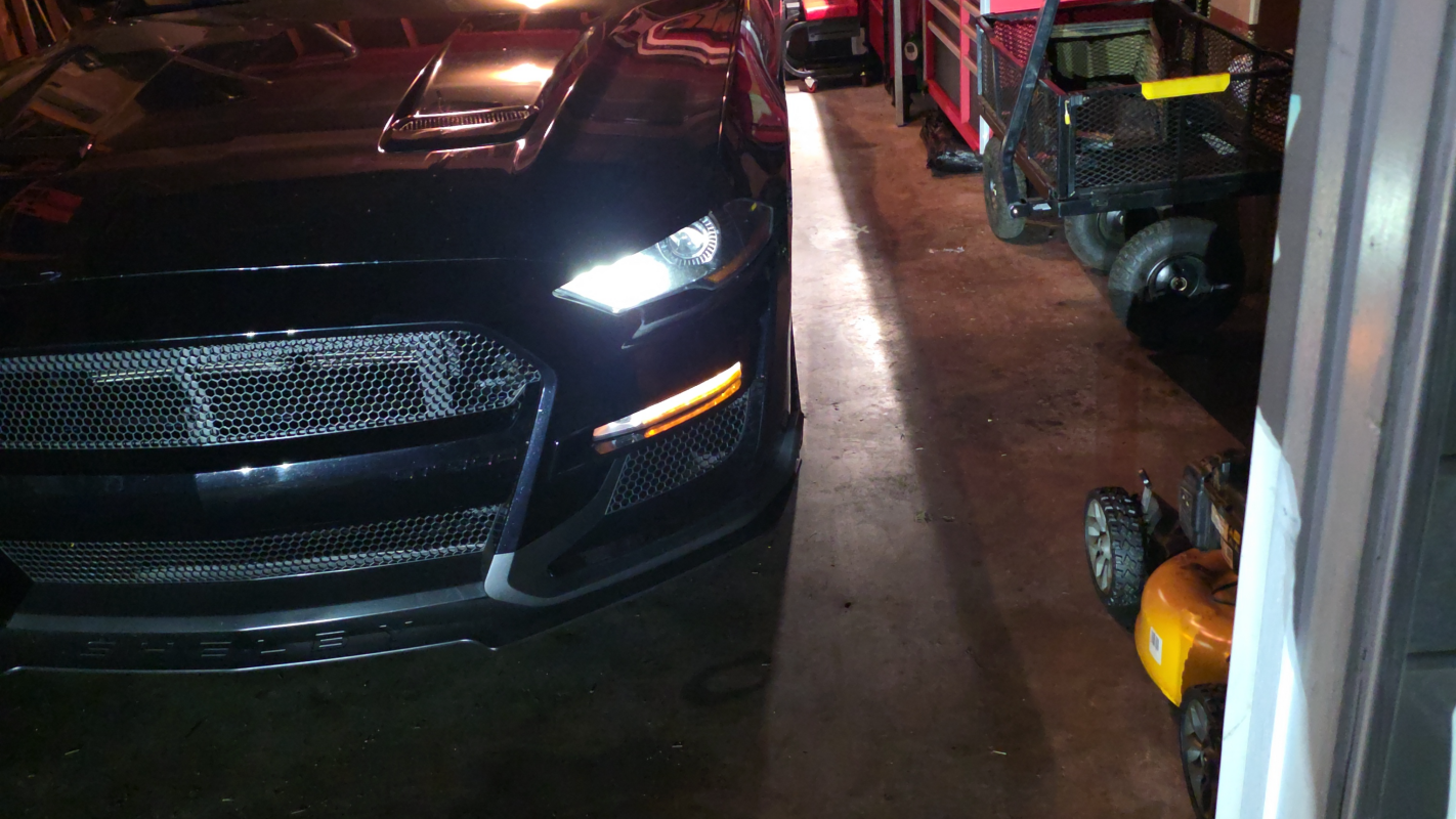 EcoBoost Mustang head gasket