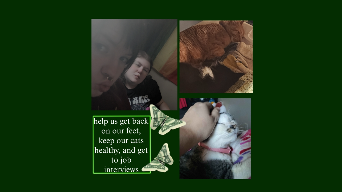 please help us survive this