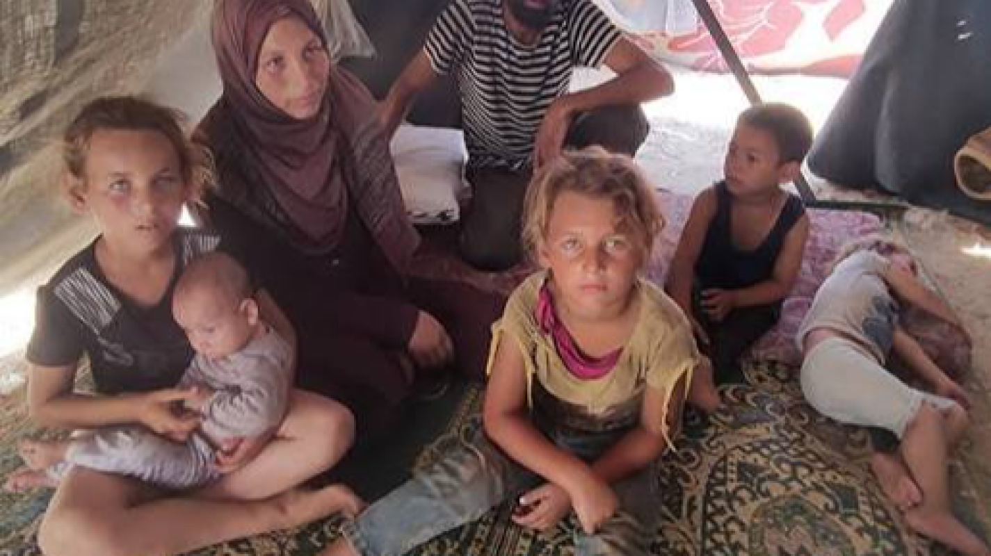 Help My Family With Food and Medication