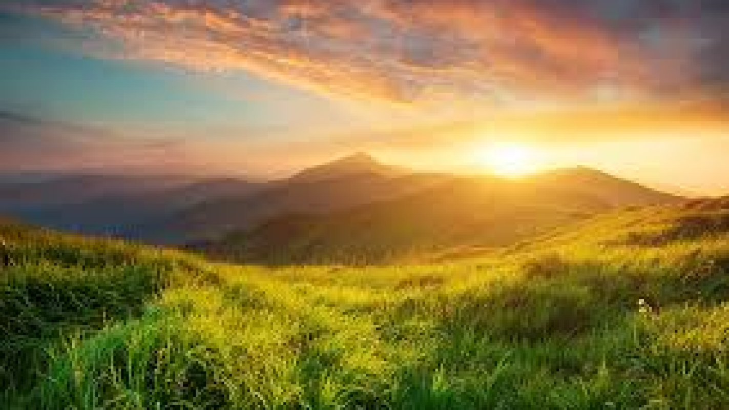 Help a father in need after a divorce