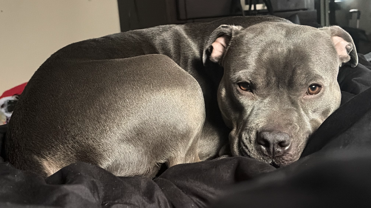 Building Stability and Independence for the Future