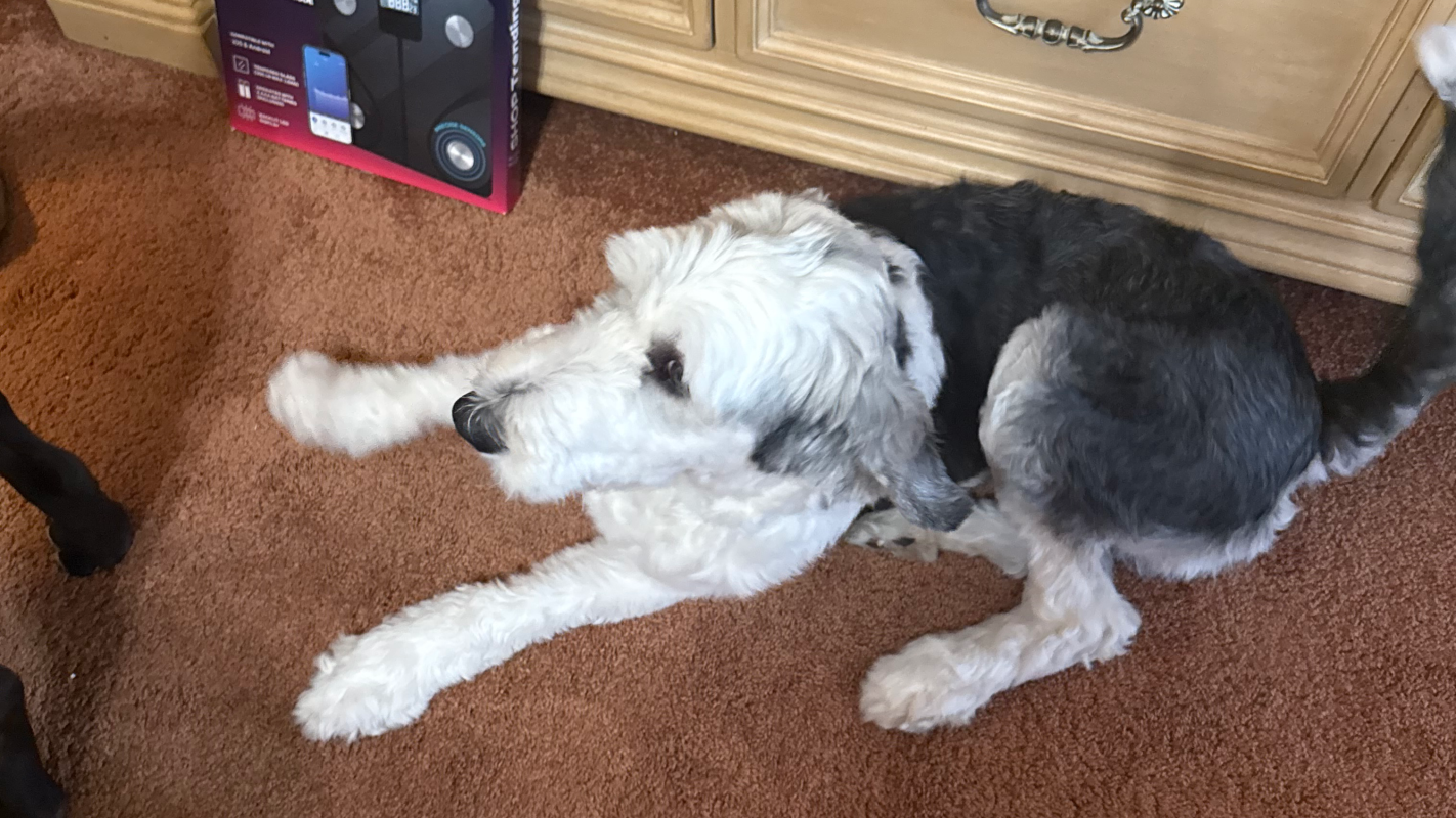 help me get back on track