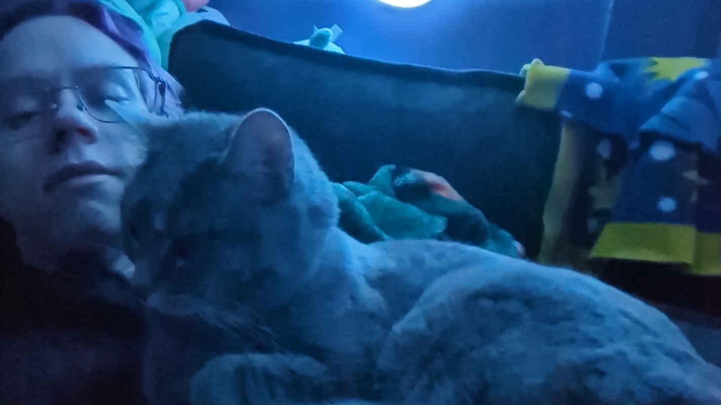 Emrys Keevan legal fees