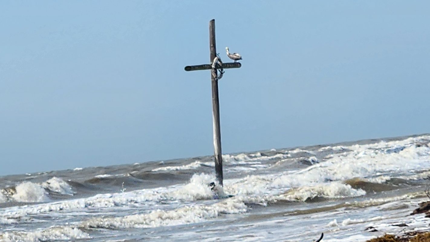 Danette's medical bills