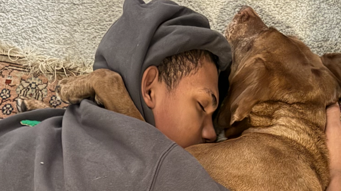 Help save Jayden’s fur baby Jules