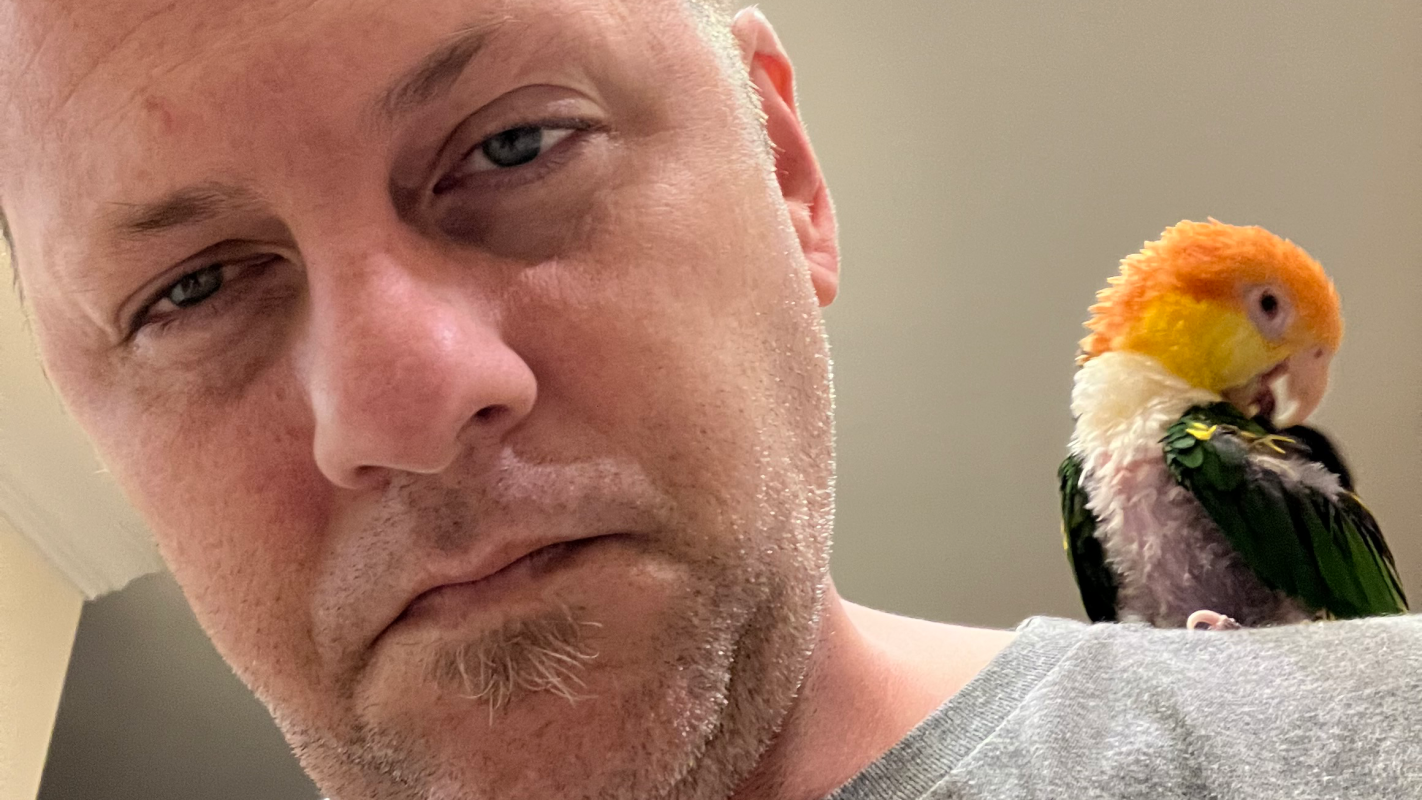 Help Jamie Survive Central Sensitization