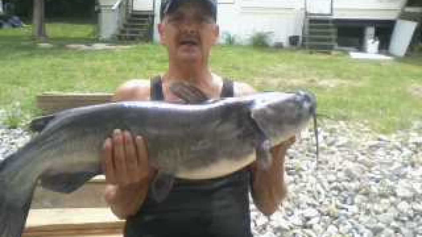 For a cremation for a loved one