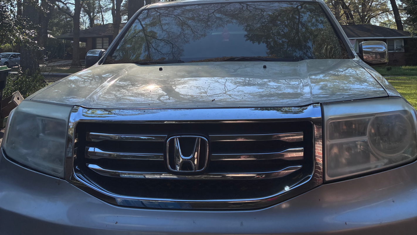 Help The Gringa Lonchera