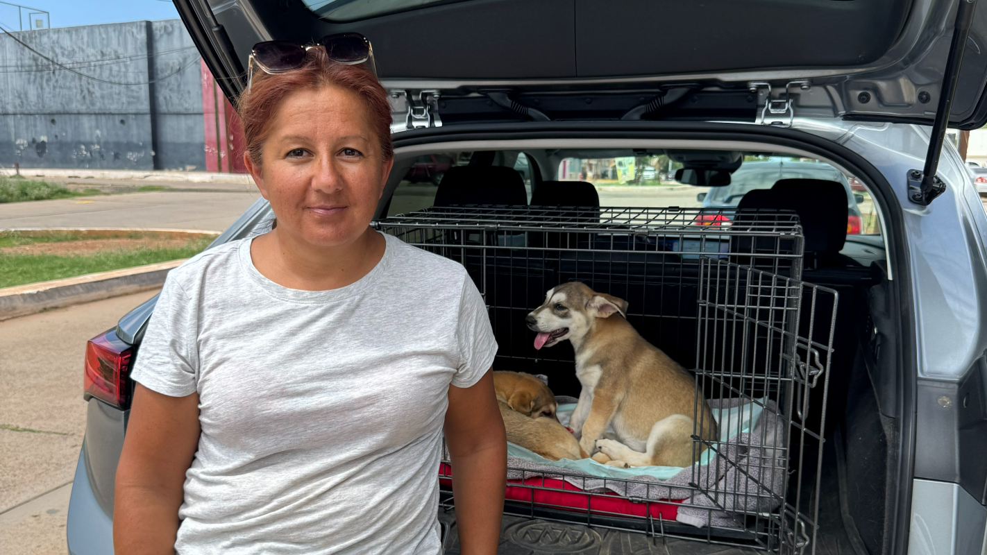 Help for Maribel