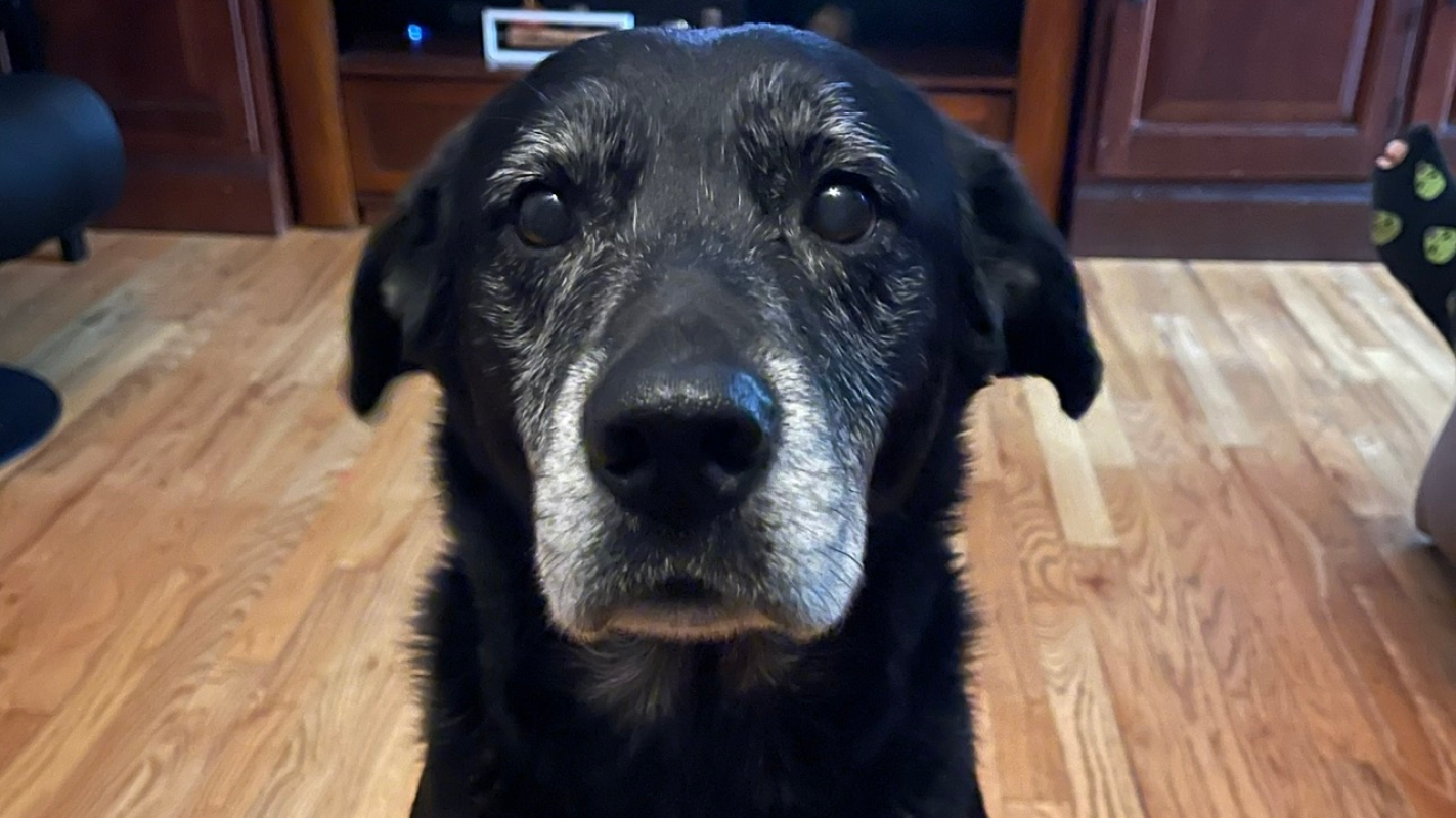 Christmas and Bill help