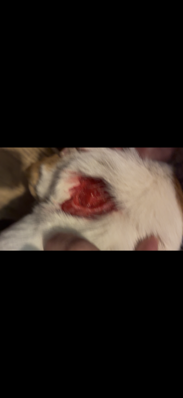 0a9f7aee-5599-43b6-9b03-b4a2f3dfe709.png