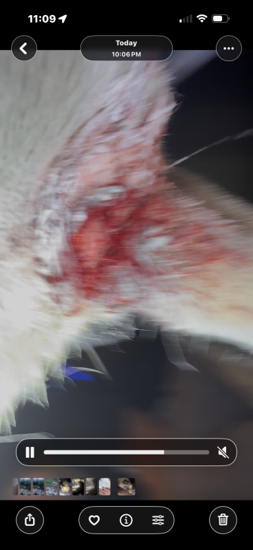 3cc7c3ea-0cbf-4a1d-b634-e46fcae69697.png