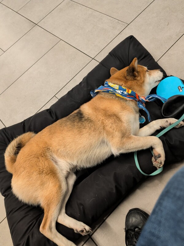 a3a4f622-5f67-4366-b9c4-f5dd98f7410a.jpg