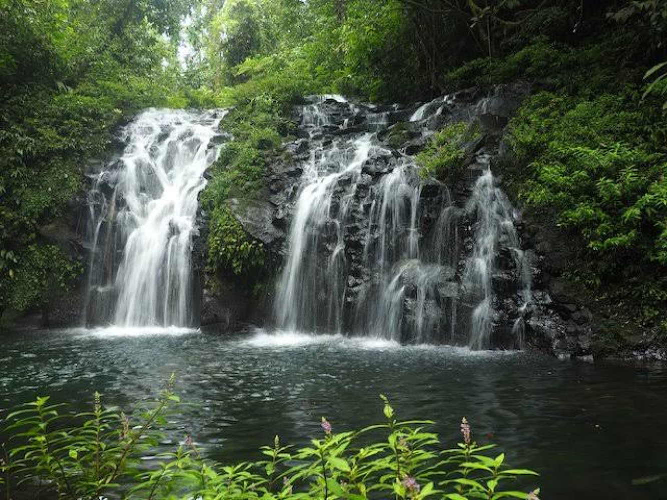 Admissions are looking good