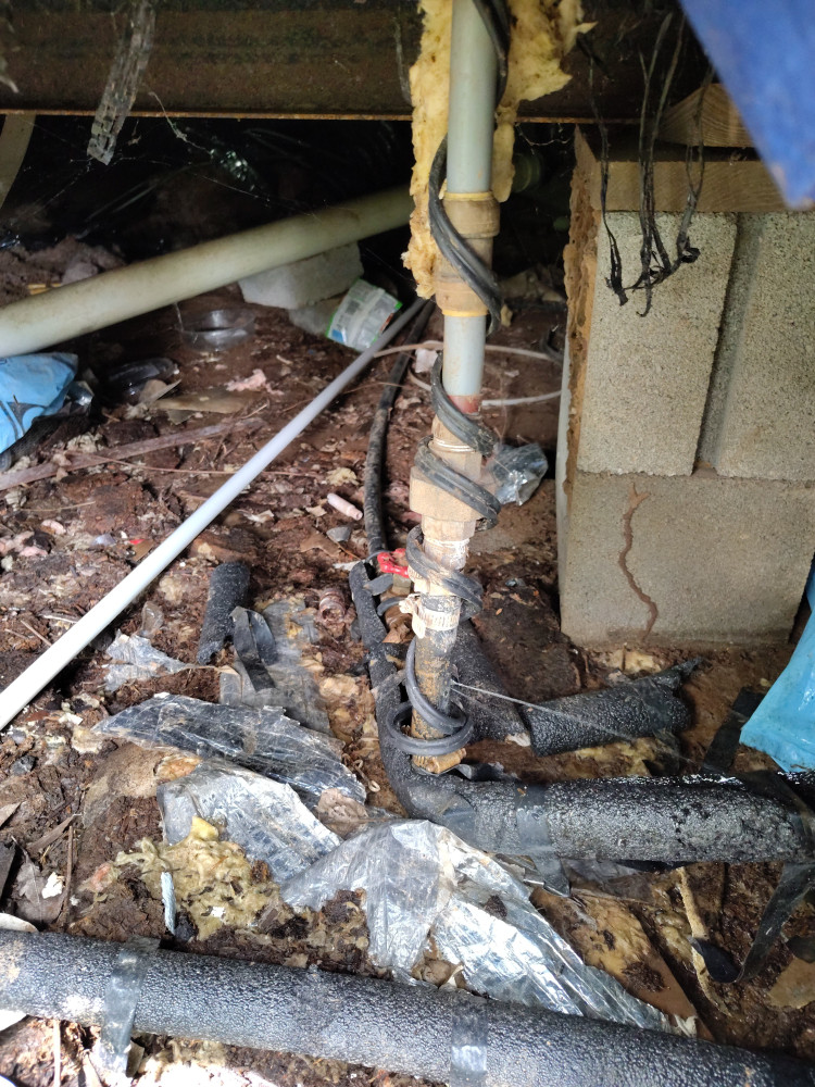 Leaking roof , electrical and plumbing issues