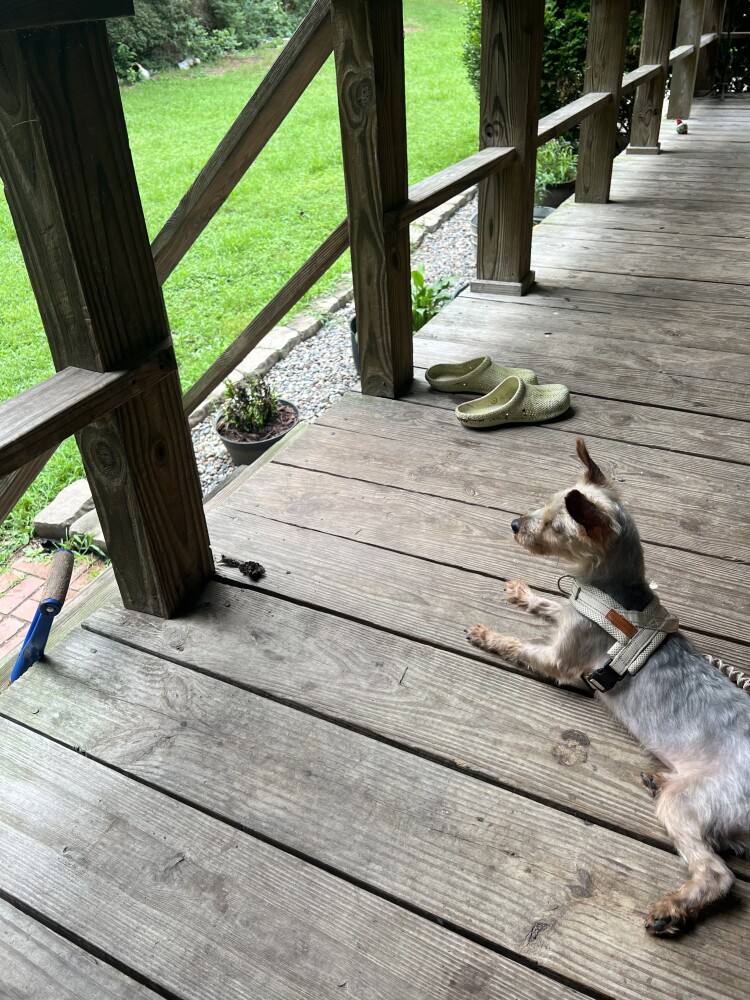 Trooper update