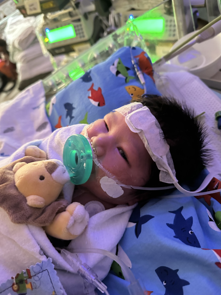 Baby Manu staying strong!