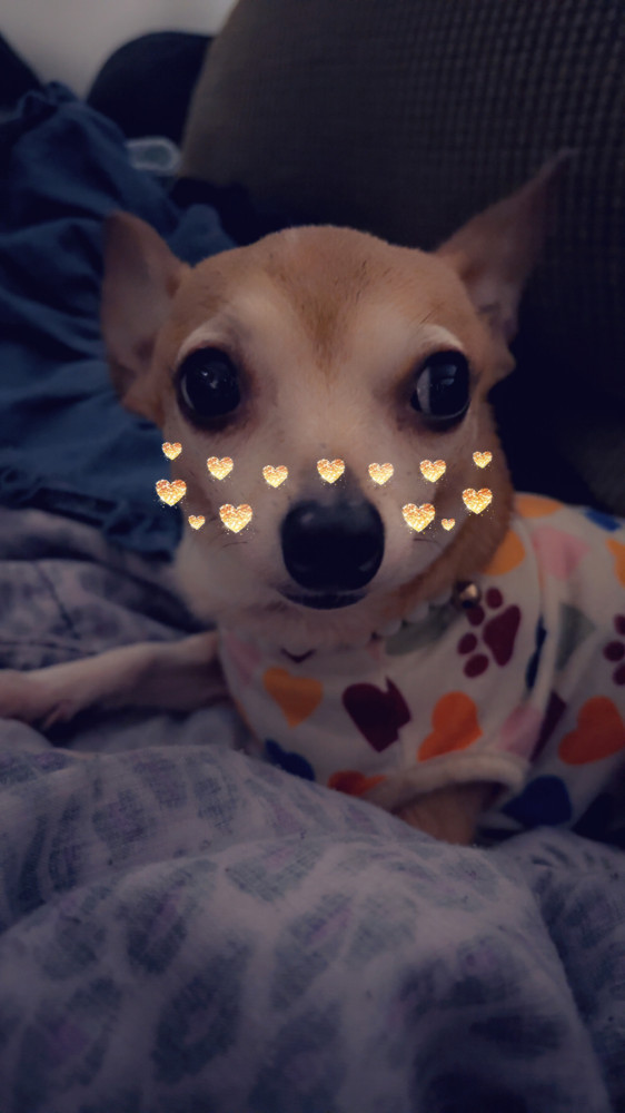 We’re doing our best!