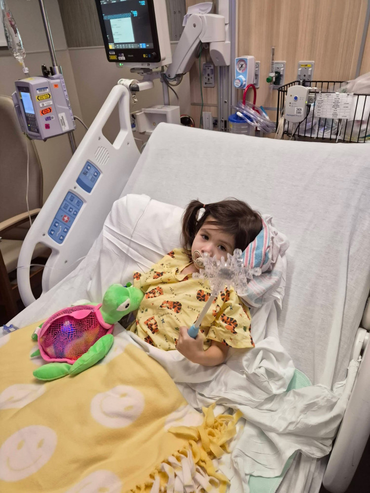 Chloe’s Journey Begins