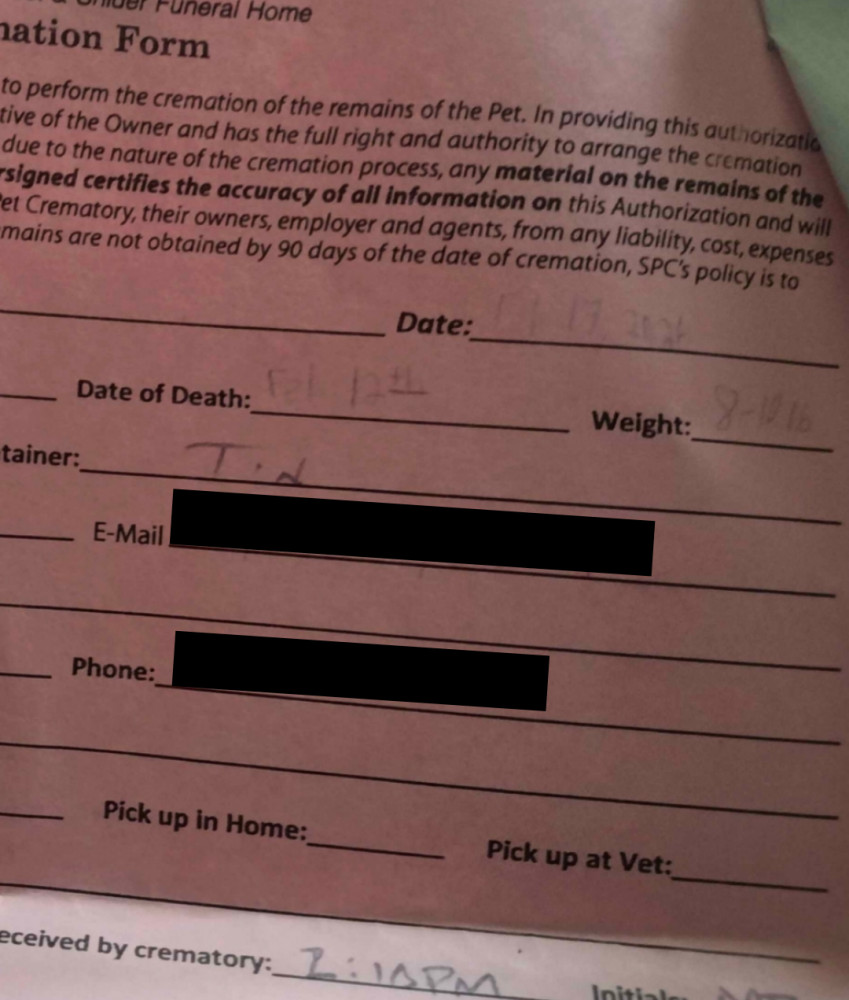 the money hit and we took her immediately