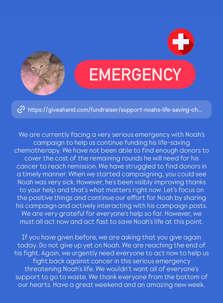 Act Now: Noah's Life-Saving Treatment is at Risk