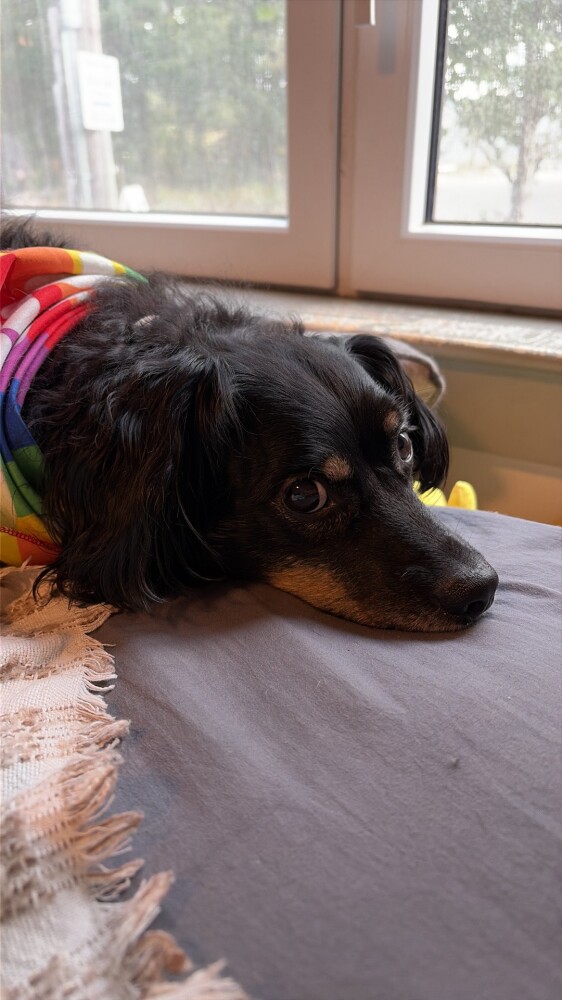Angus is honored you are all thinking of him!