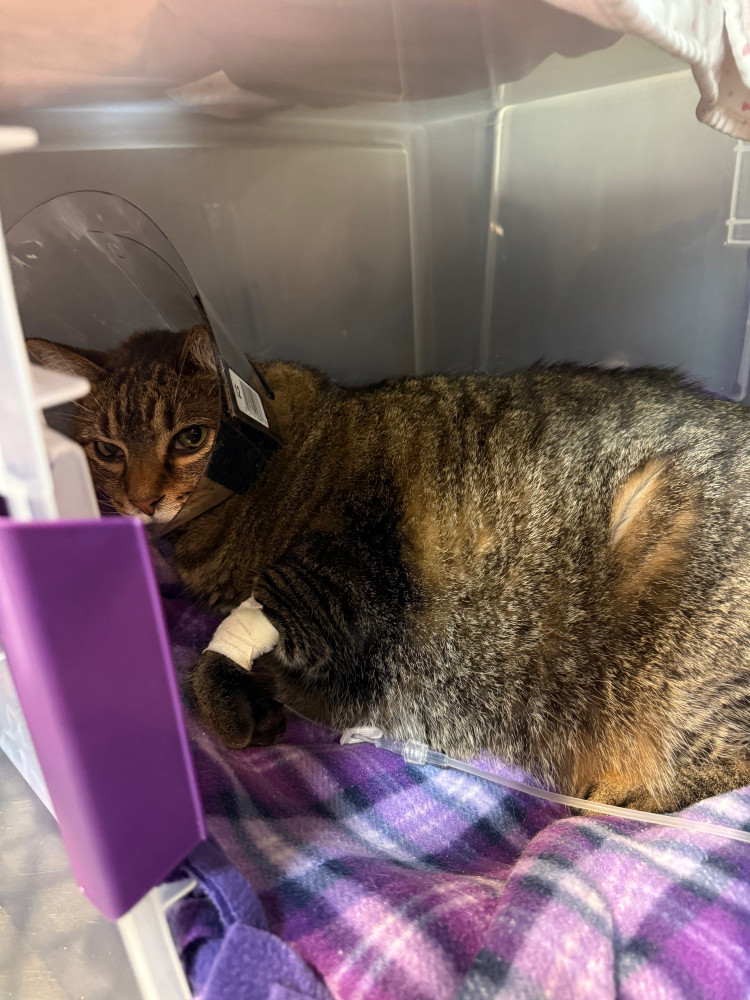 We really need your help!